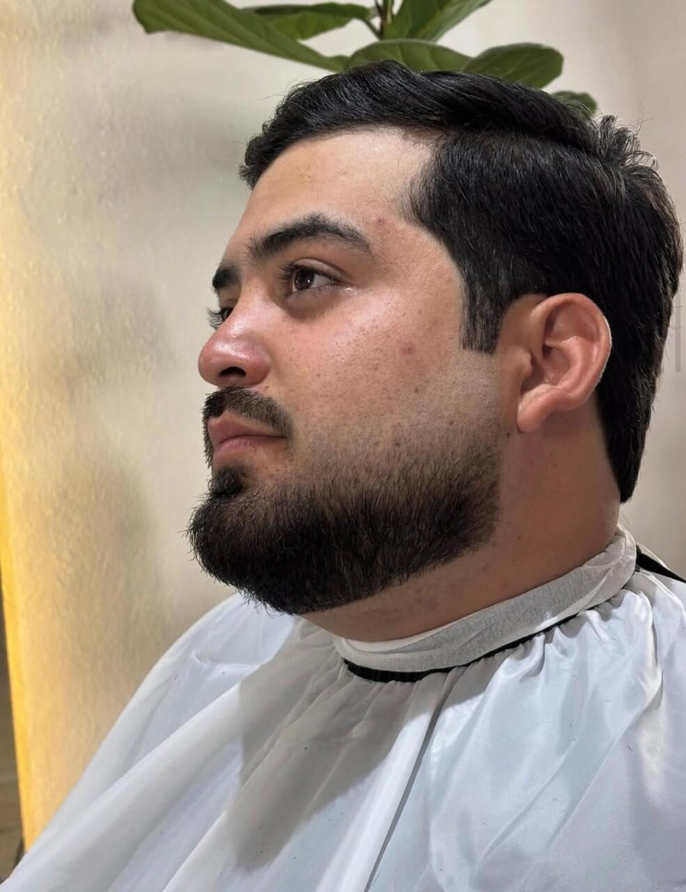 Diseño de barba